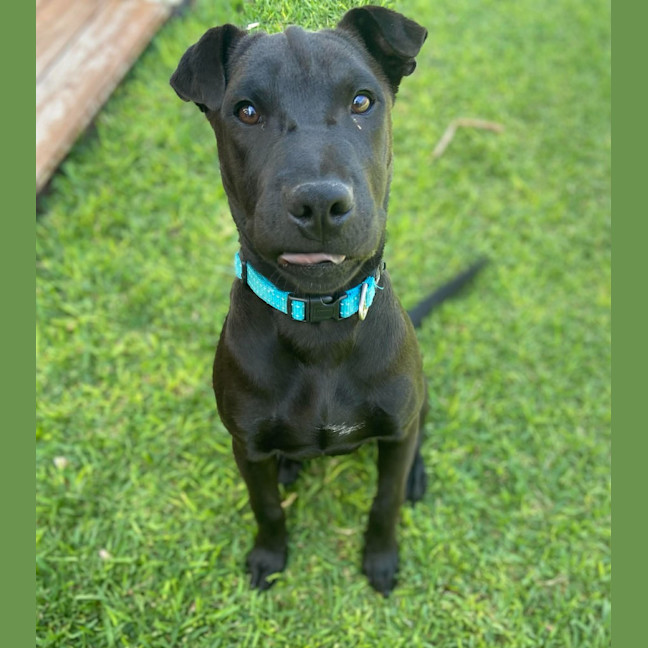 Photo of Bounty