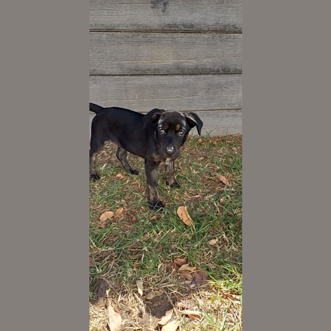 Photo of Bizzy