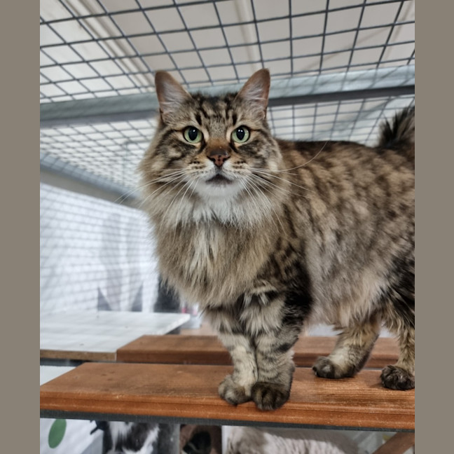 Photo of Leo