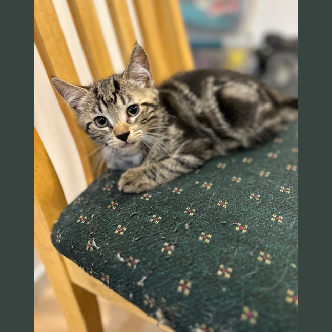 Photo of Ash