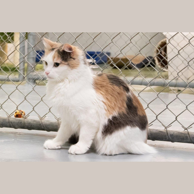 Photo of Ruth Russelton