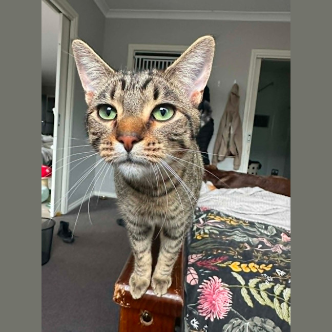 Photo of Klaus