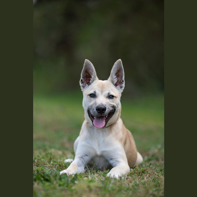 Photo of Missy