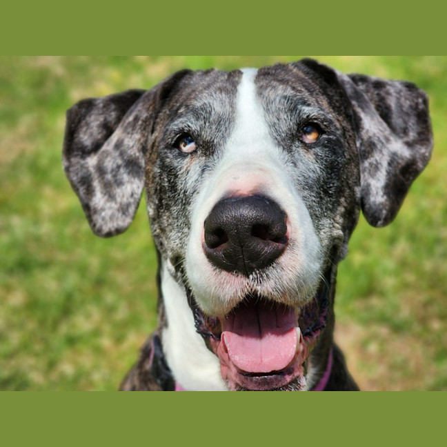 Photo of 🎭 Wednesday 6534 🎭