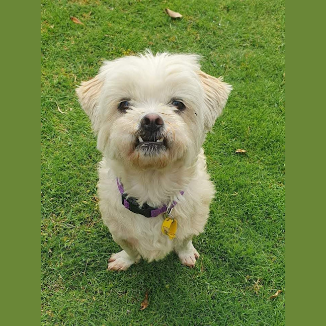 Photo of Roxy