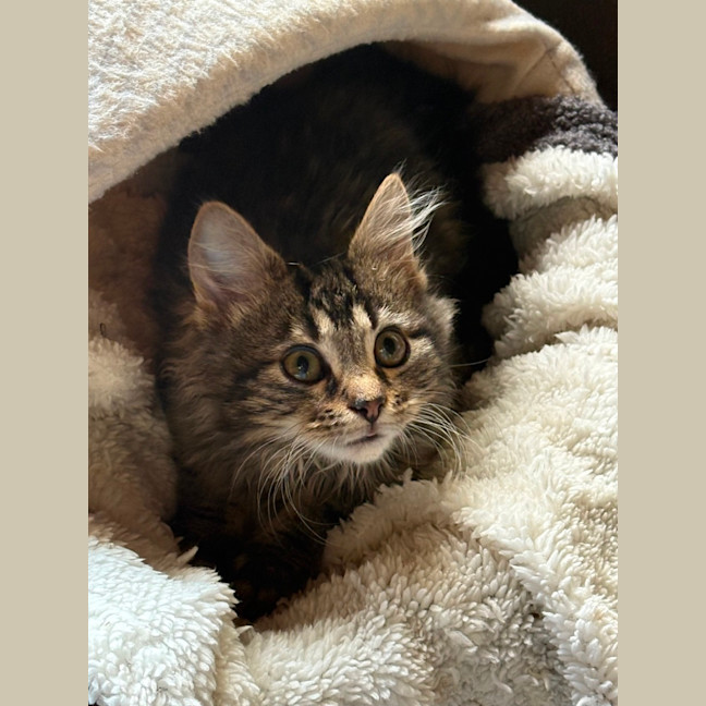 Photo of Larry 😻😻💙💙