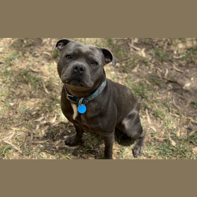 Photo of Zeus