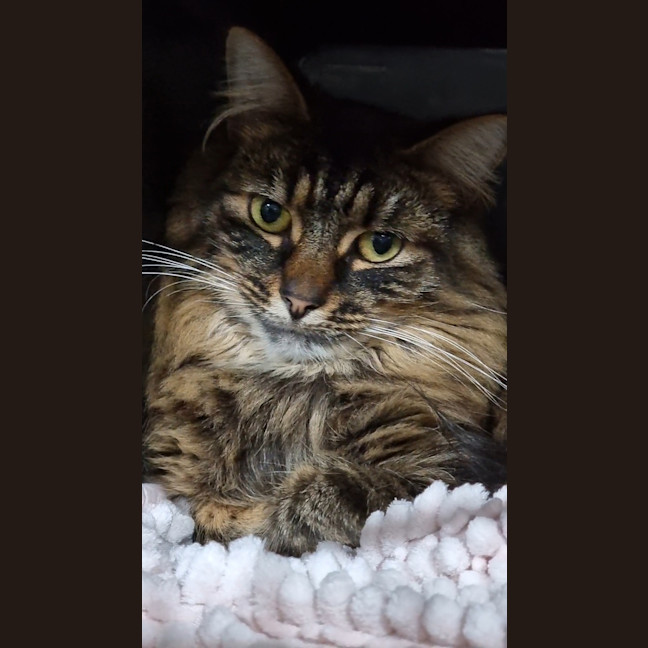 Photo of Storm
