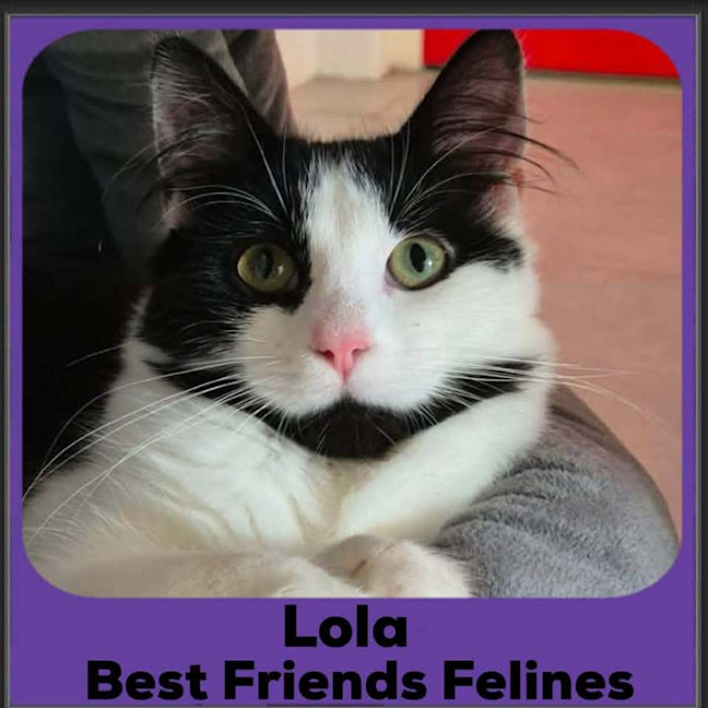 Photo of Lola