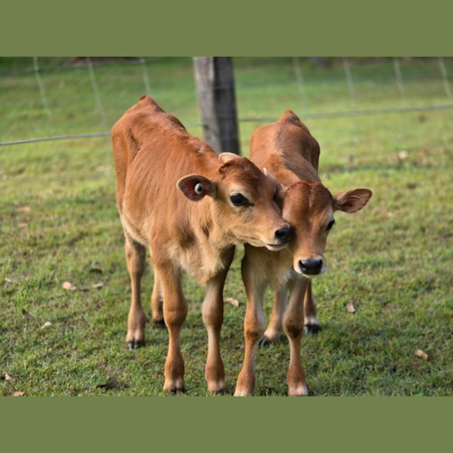 Photo of Bryce & Stanley