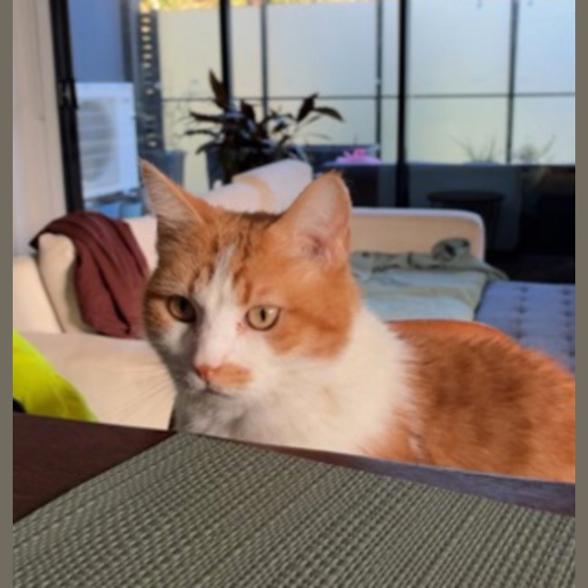 Photo of Pumpkin
