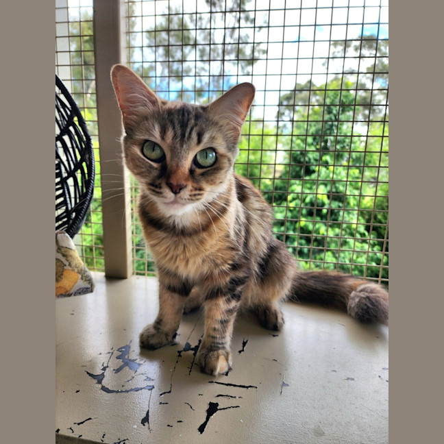 Photo of Priscilla