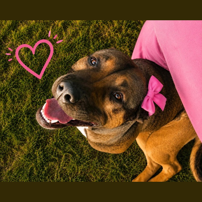 Photo of Rosie