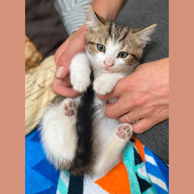 Photo of Berlin (9955)