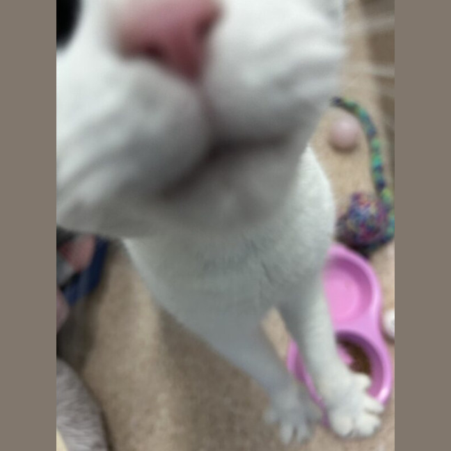 Photo of Yuki