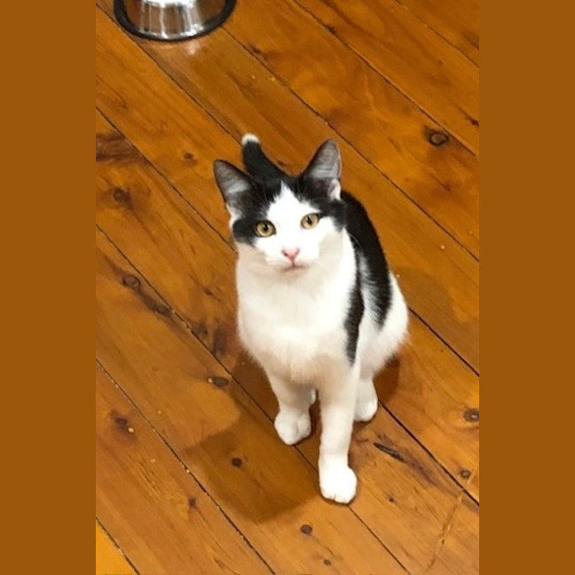 Photo of Dude