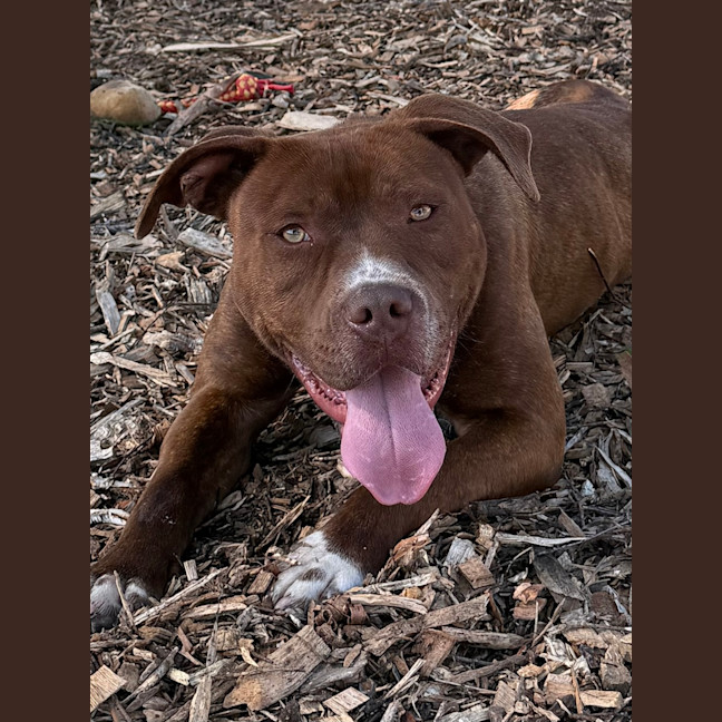 Photo of Asha
