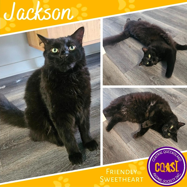 Photo of Jackson
