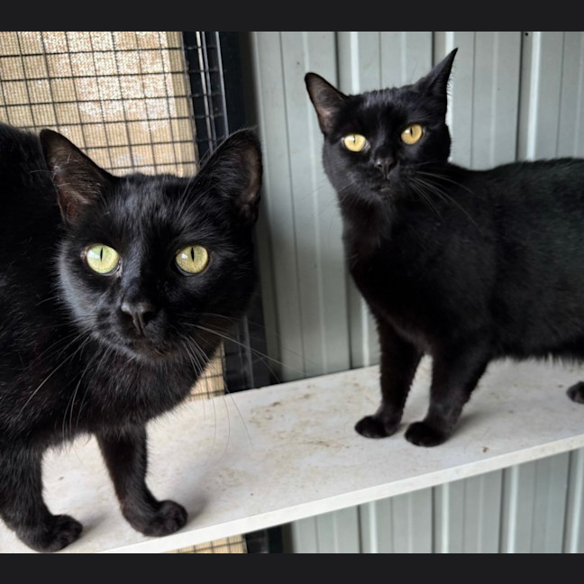 Photo of Butters And Izzy