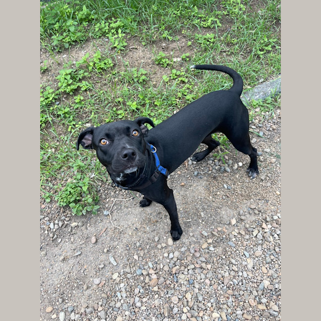 Photo of Indy