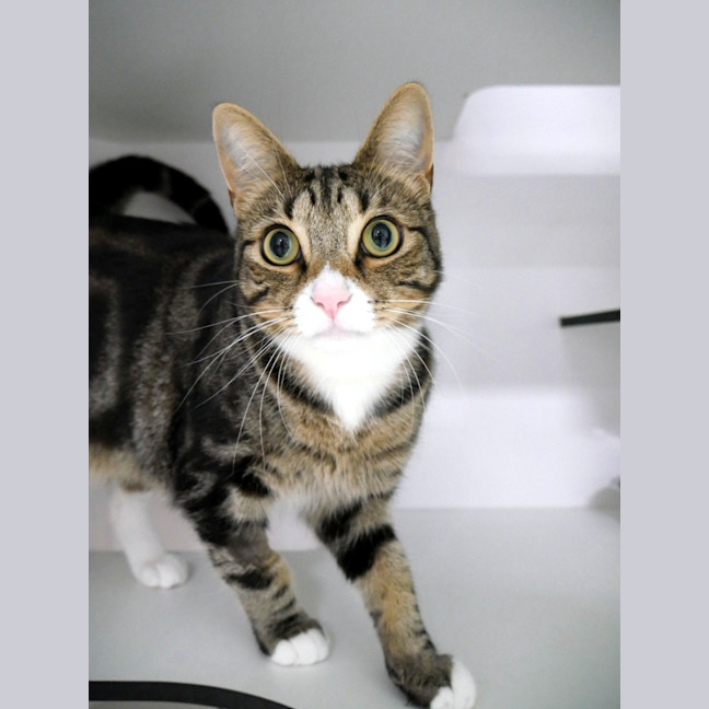 Photo of Gidget Sua014674