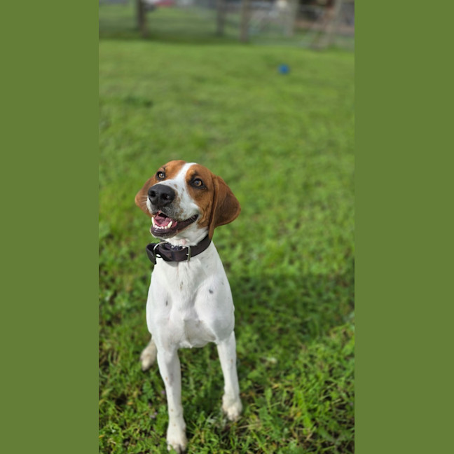 Photo of Wally
