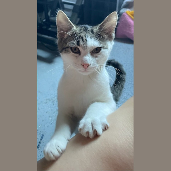 Photo of Ky (George)