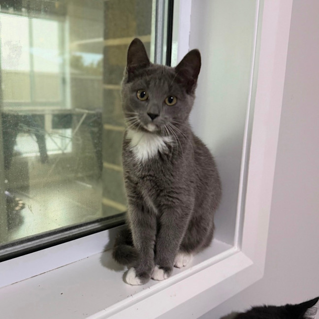 Photo of Arya 🪻💜