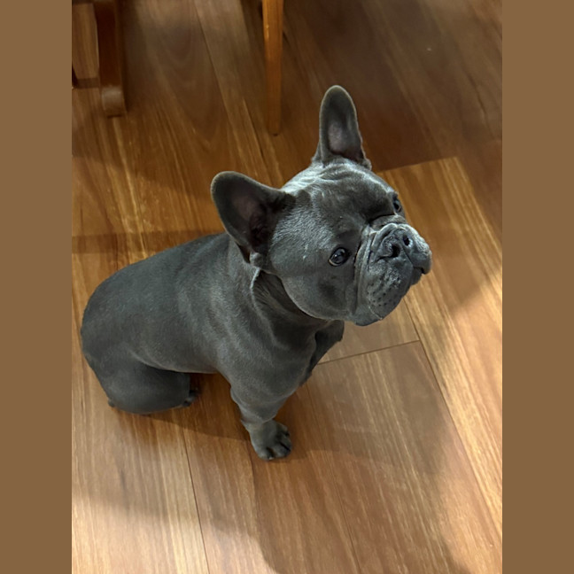 Photo of Nigel