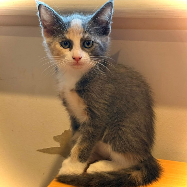Photo of Heidi