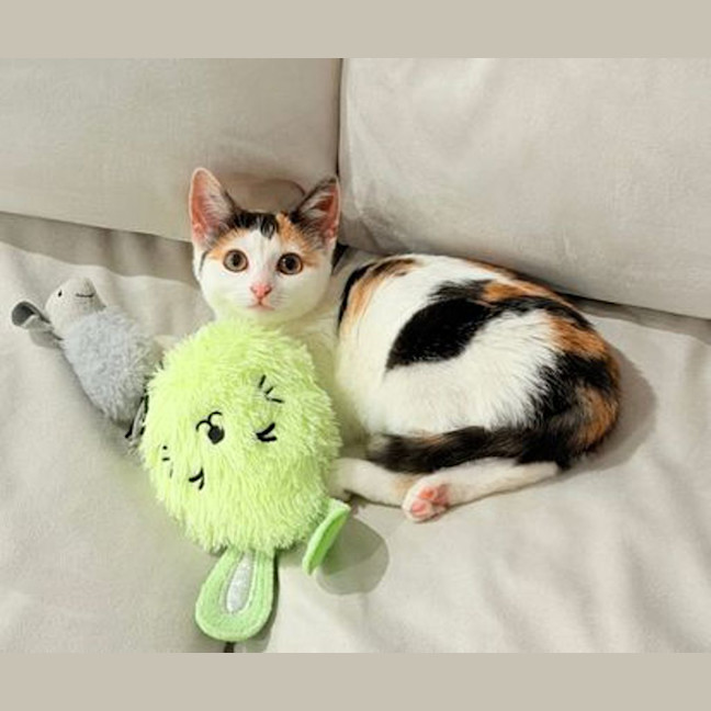 Photo of Haohao