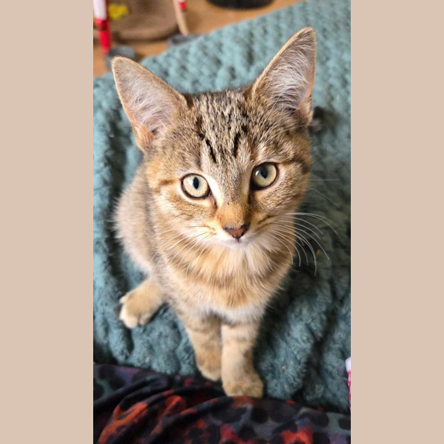 Photo of Emma