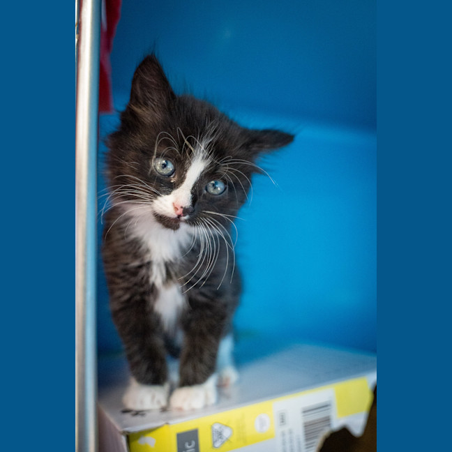 Photo of Stormy