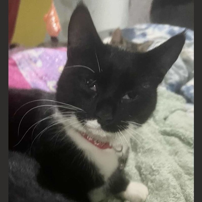 Photo of Moe