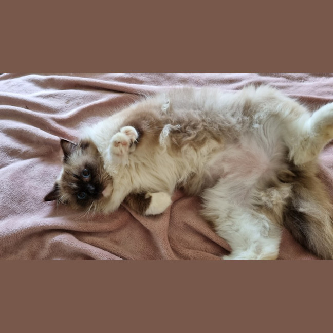 Photo of Neo