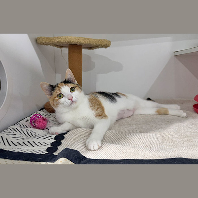 Photo of Persephone