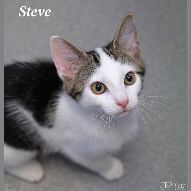 Photo of Steve