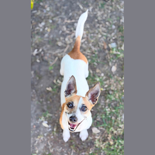 Photo of Lili