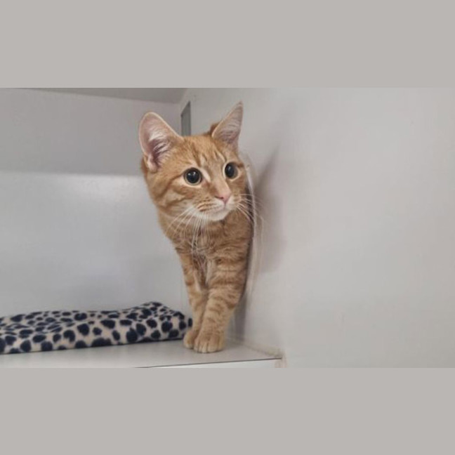 Photo of Monty