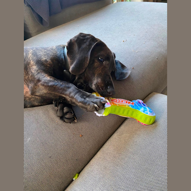 Photo of Elsa