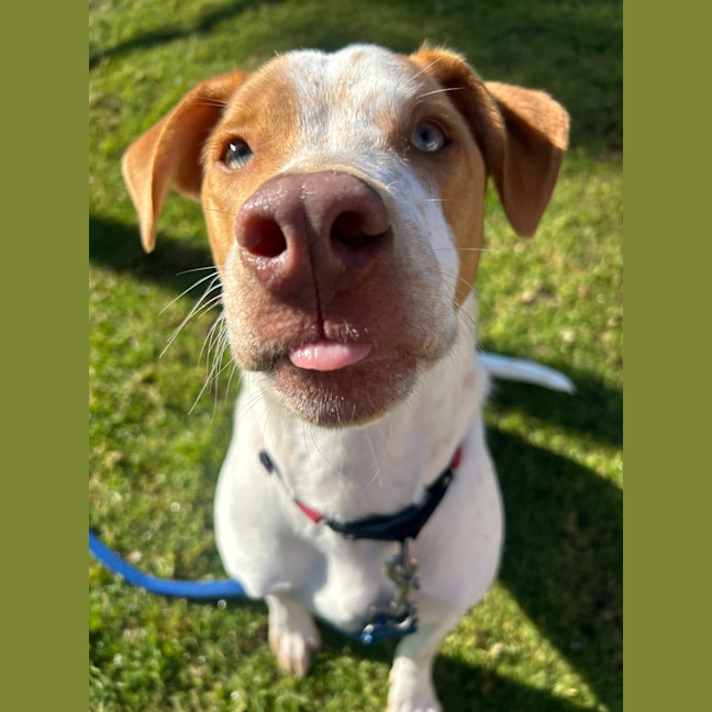 Photo of Rico
