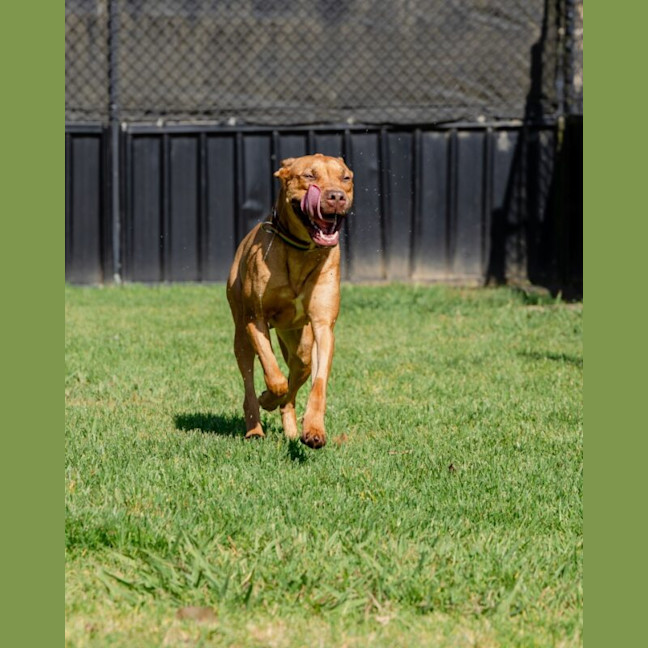 Photo of Molly