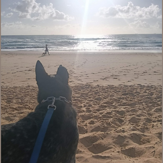 Photo of Storm