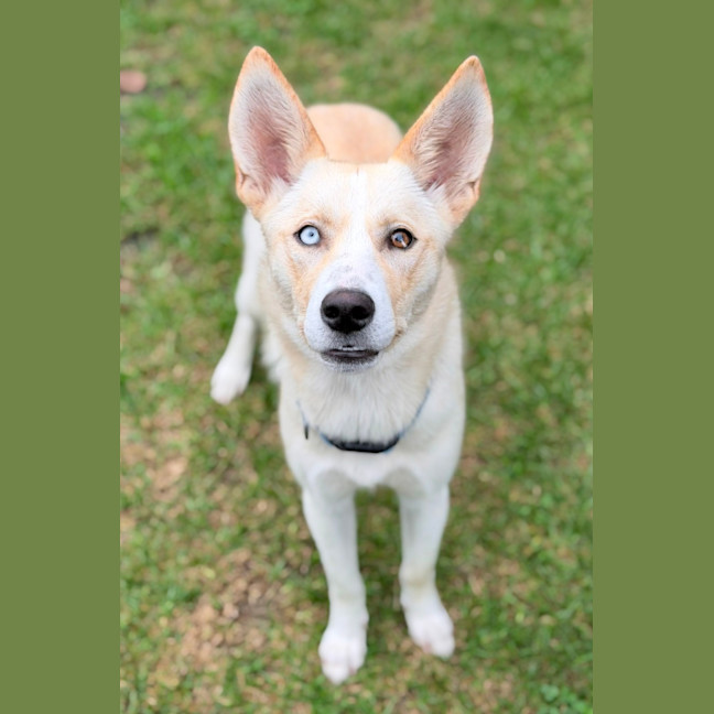 Photo of Sugar