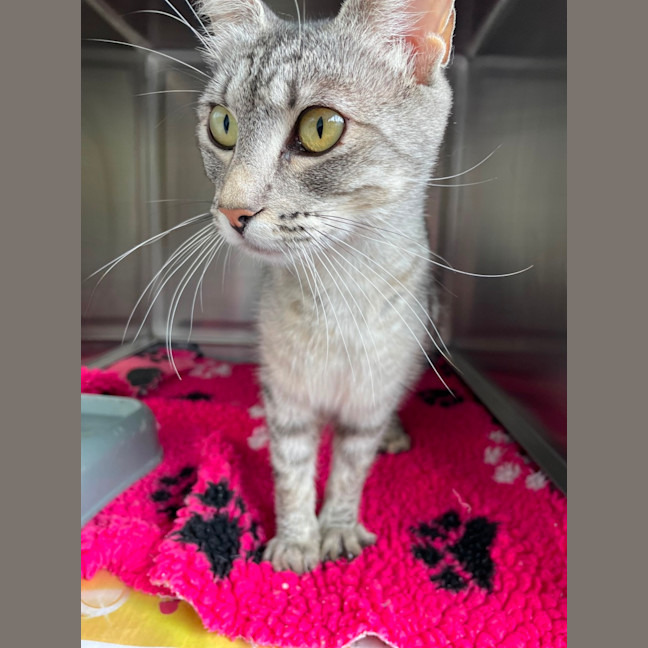 Photo of Libby