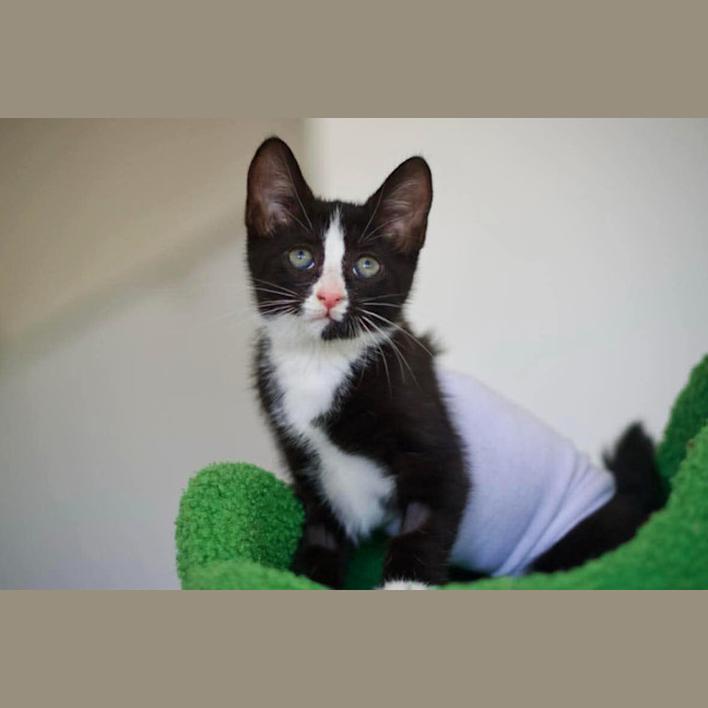 Photo of 🤩 Charlie Girl 🤩