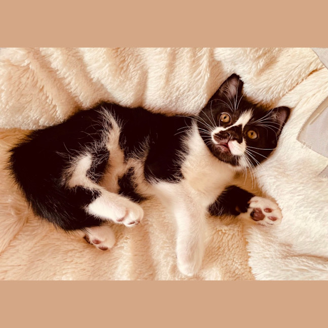Photo of Dakota