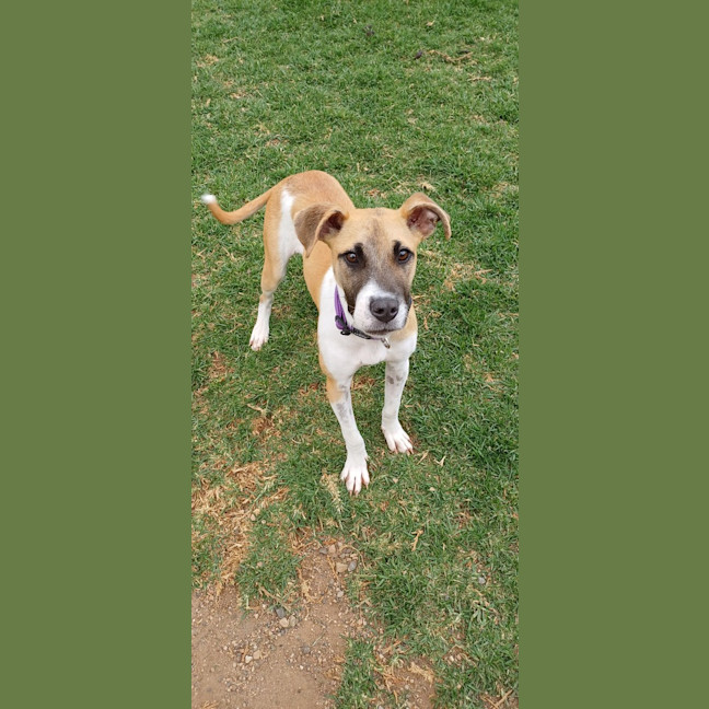 Photo of Elsie