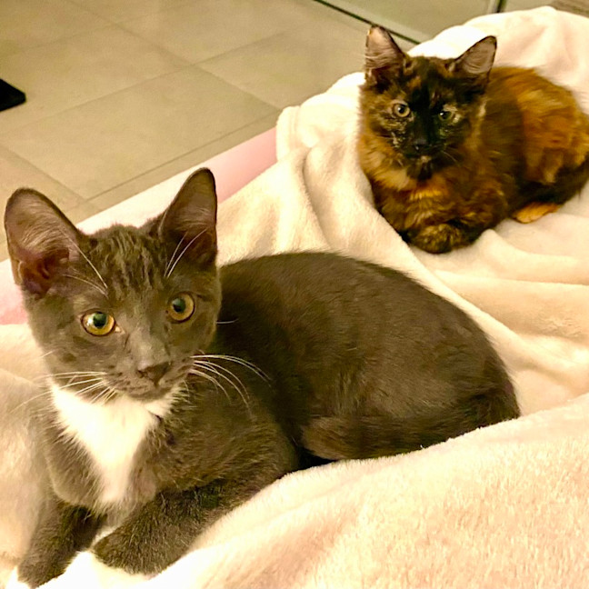 Photo of Dora And Tom