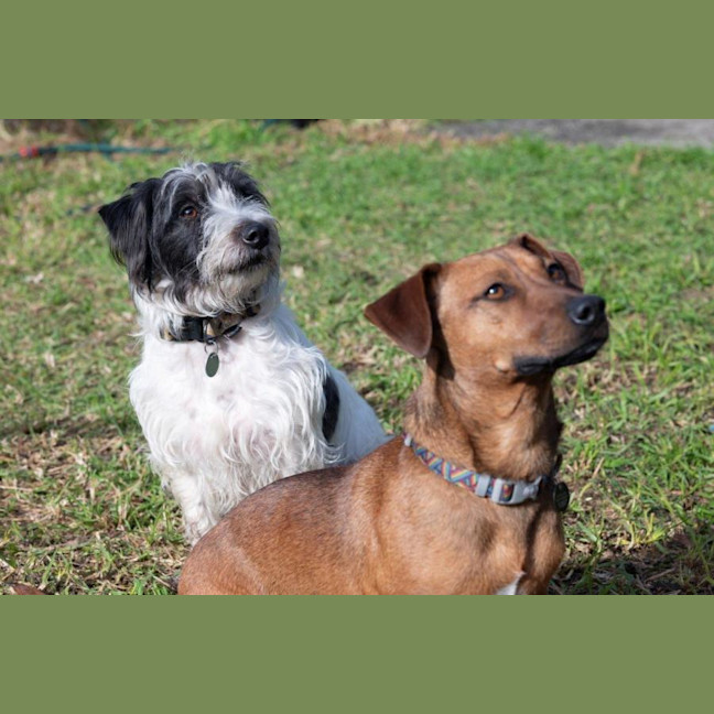 Photo of Bean And Dunkin Russelton